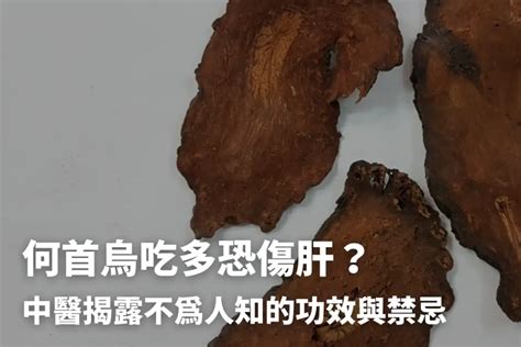 何首烏 什麼人不能吃|何首烏的功效與作用及禁忌